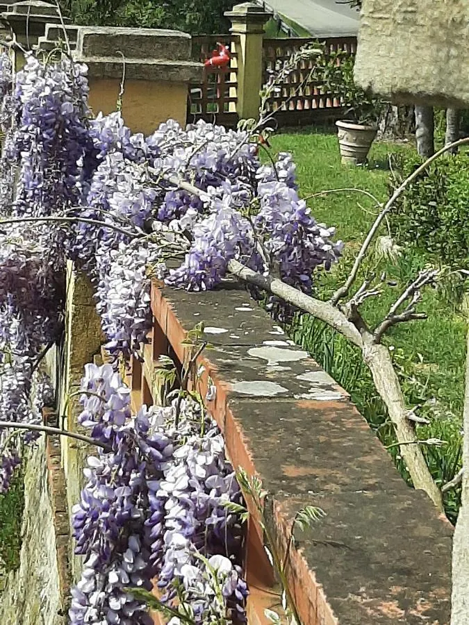 Villa Al Ponte Case Malva